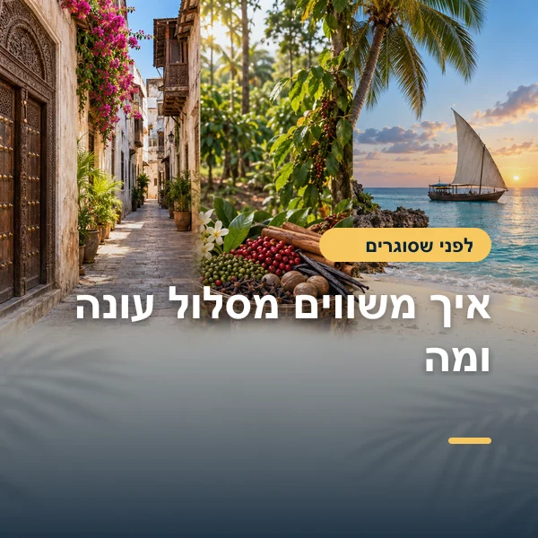 המחשה: סמטה היסטורית, צמחייה טרופית וחוף בזנזיבר בתמונה משולבת