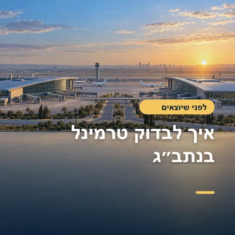 מבט אווירי על טרמינלים ומסלולי המראה בנמל תעופה מודרני